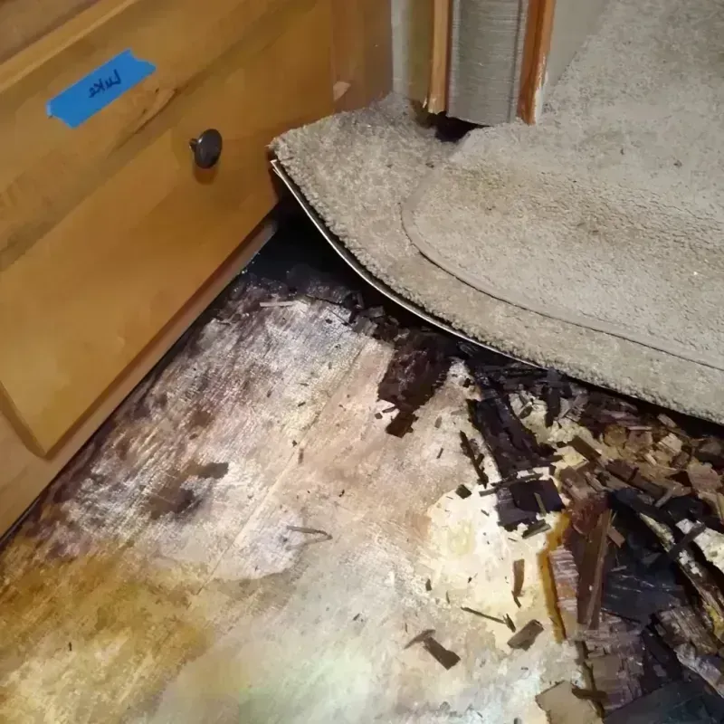 Best Wood Floor Water Damage Service in Elmwood Place, OH